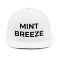 Unisex Snapback Hat