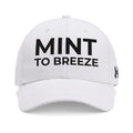 MINT TO BREEZE Under Armour® Team Blitzing Cap