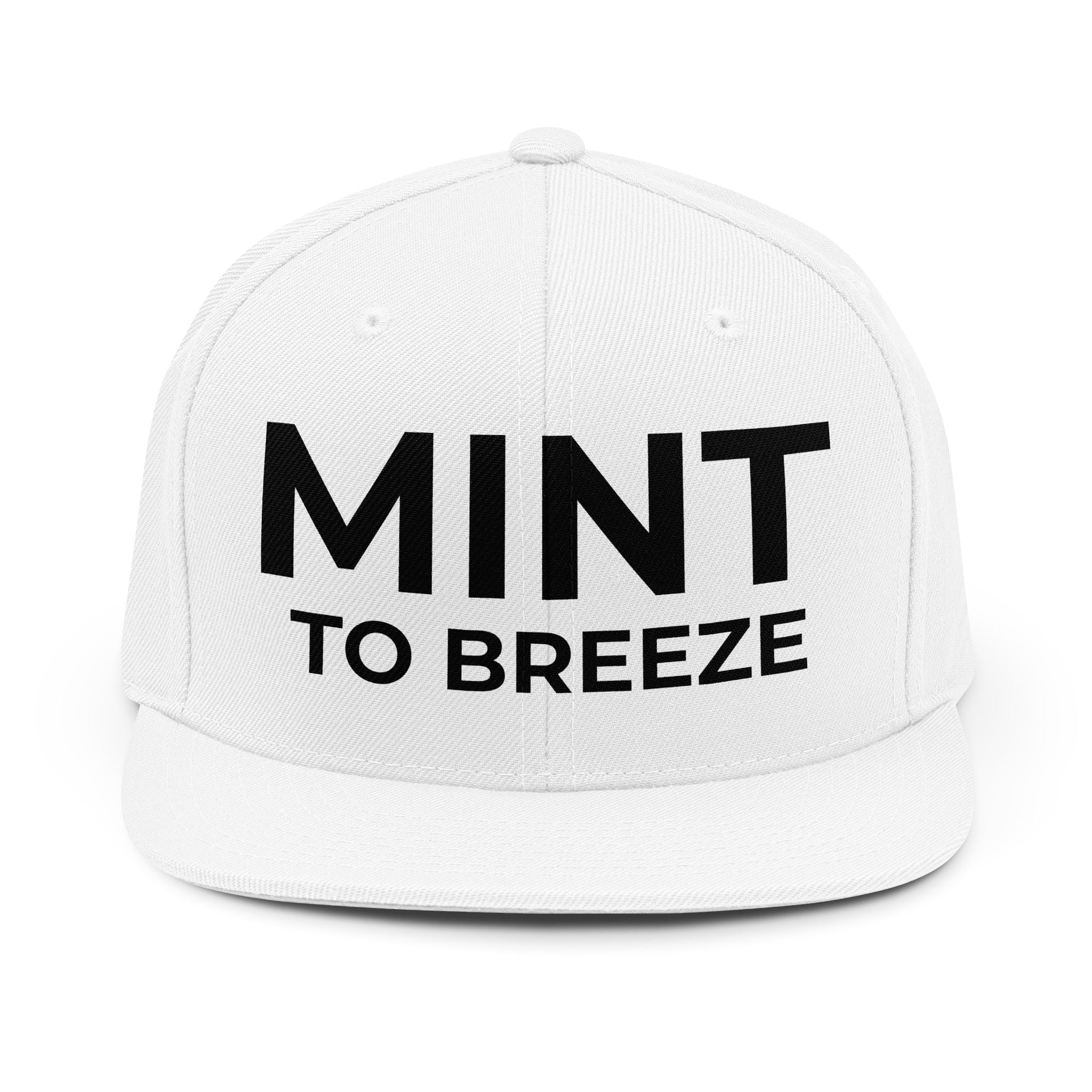 MINT TO BREEZE Unisex Snapback Hat