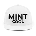 MINT COOL Unisex Snapback Hat
